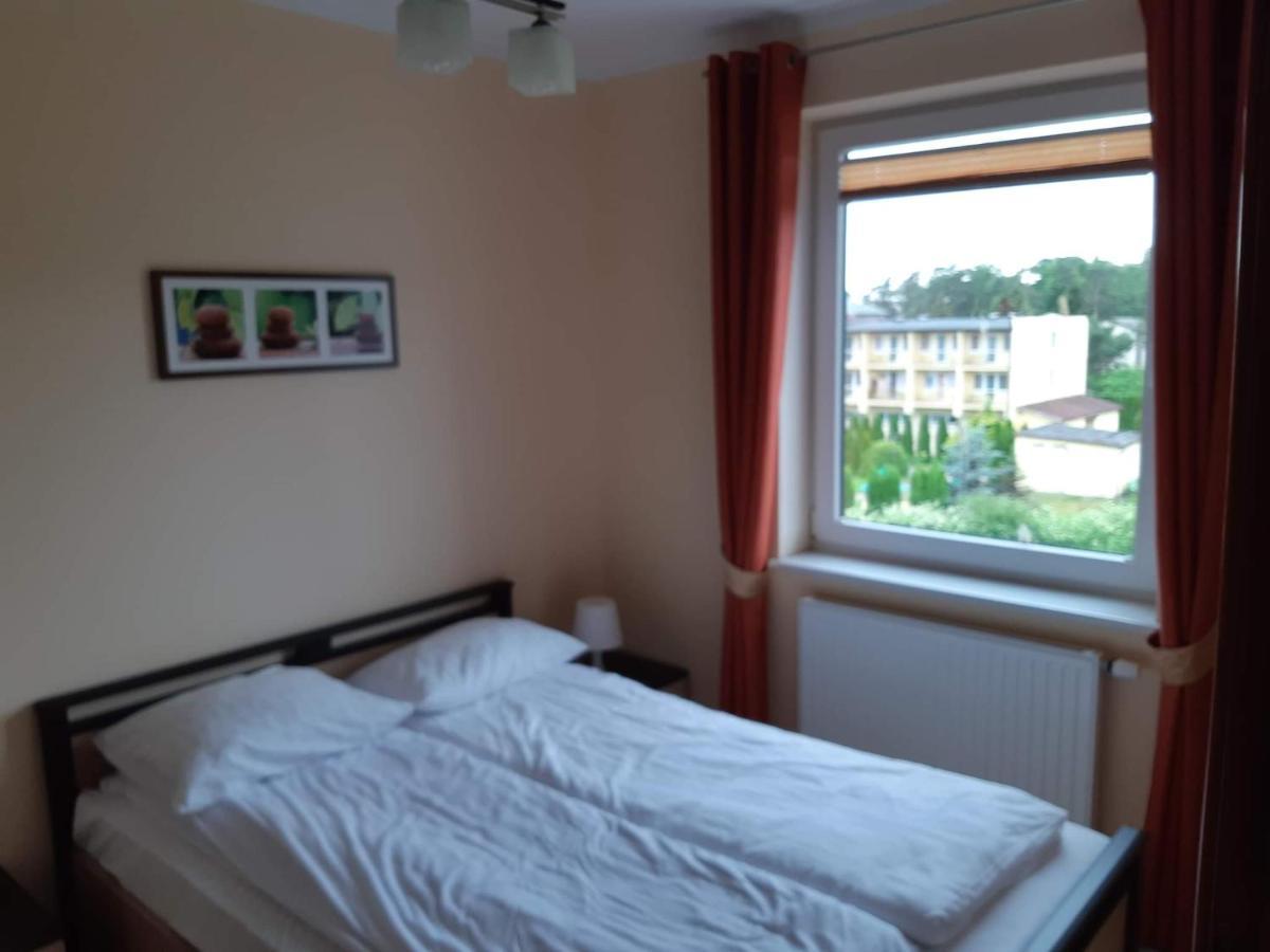 Apartment Apartament W Bursztynowych Komnatach *